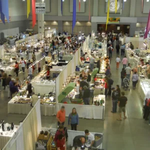 Tucson Gem and Mineral Show 2025: Trends and Highlights